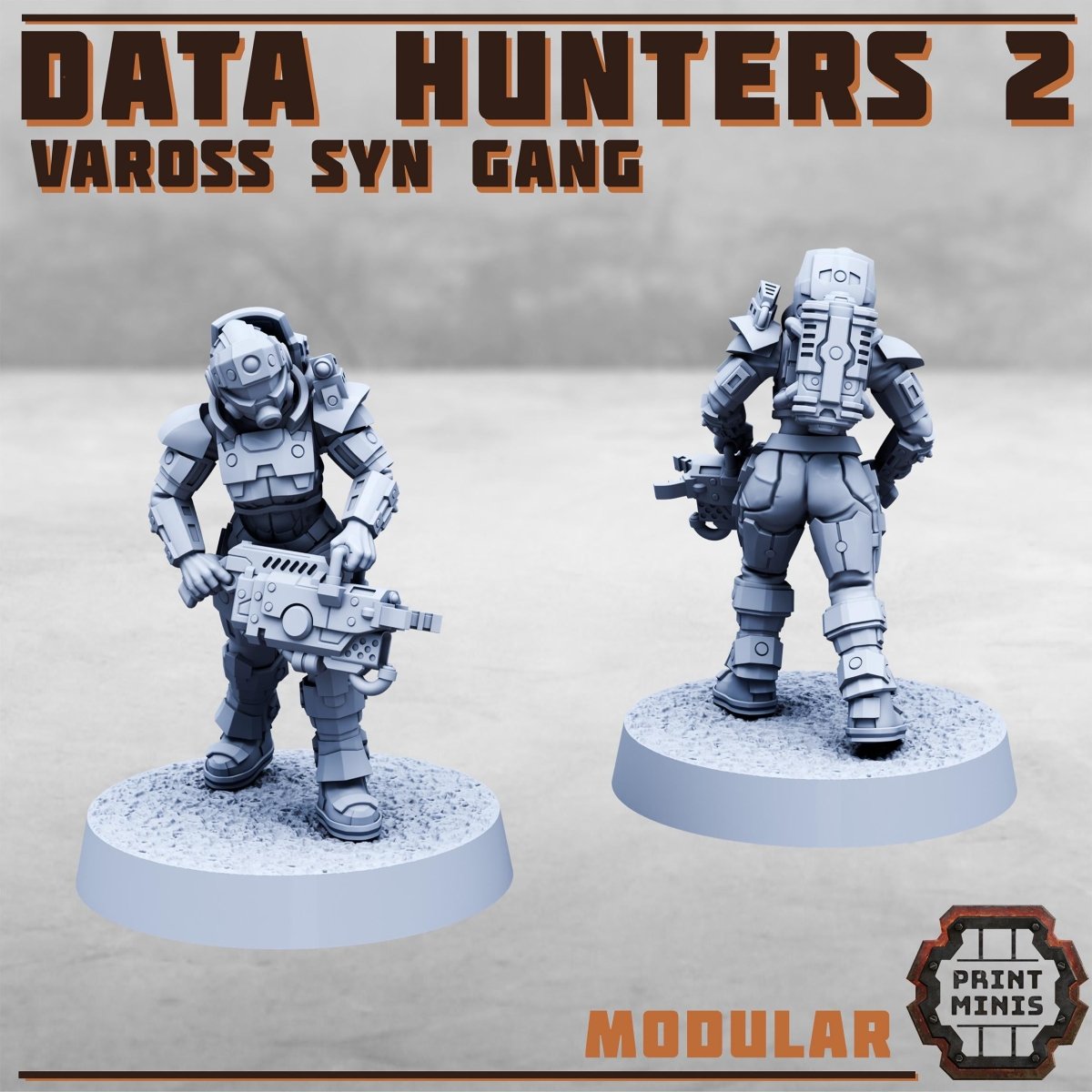 Data Hunters 2 - Vaross Syn Gang - HamsterFoundry - HamsterFoundry