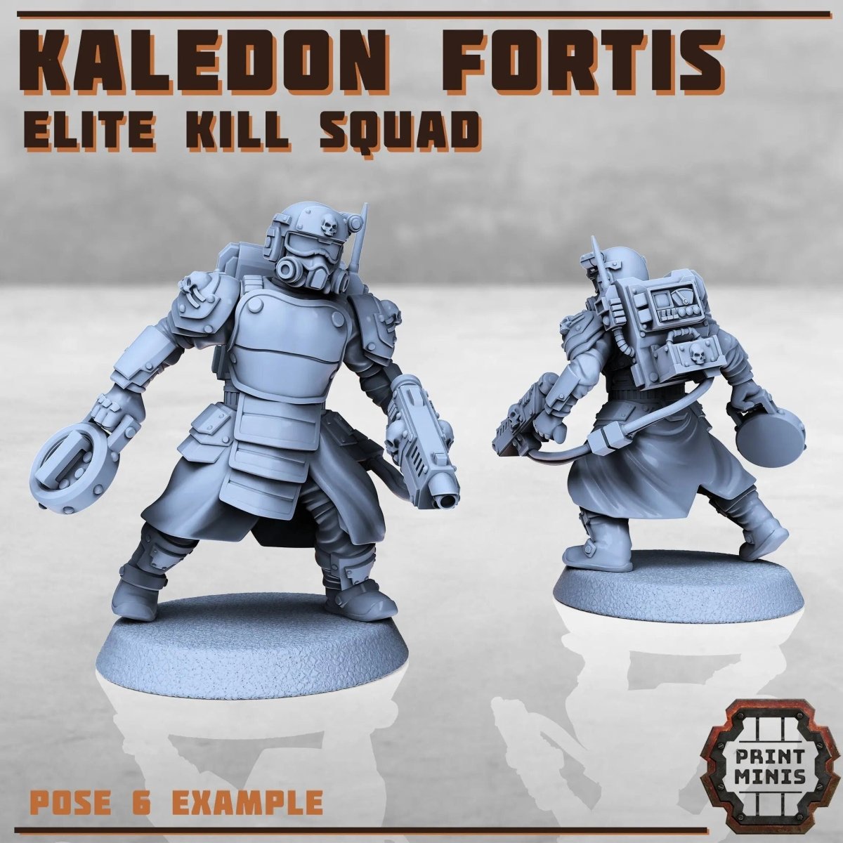Kaledon Fortis - elite troops - HamsterFoundry - Print Minis