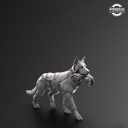Kill squad Mercenary Syndicate - HamsterFoundry - Redmakers