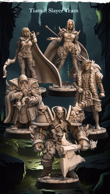 Tiamat Slayer Team - HamsterFoundry - HamsterFoundry